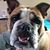 Linda Diane Goodwin's profile image