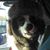 Jerry Delabarre's profile image
