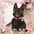 Beth Gorman's profile image