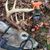 Dave Holcomb's profile image