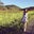 Fiona Chen's profile image