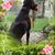 Julie Shade Mcwithey's profile image