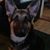 Penny Rowe's profile image