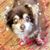 Corey Christine's profile image