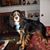 Carmen M Canney's profile image