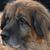 Marcia Connaughton's profile image