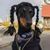 Duffy Blevins's profile image
