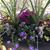Beth Smedra Douglas's profile image