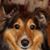 Deb McKinney's profile image