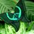 Amy Newell's profile image