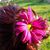 Mary Burford's profile image