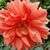 Kathryn Brewer's profile image