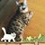 Deborah Jo Williams's profile image