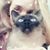 Amie Bowers's profile image