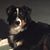 Barbara Travis-Henne's profile image