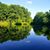 Kristina Blumenstock's profile image