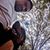 Ernesto Gutierrez's profile image