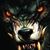 Jeremie Dewulff's profile image