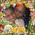 Dorothy Perry's profile image