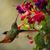 Kathleen Thompson's profile image