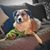 LeAnn Odle's profile image