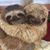 Carolyn Diem's profile image