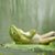 Dawna Granger's profile image
