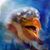 Glenn Simoni's profile image