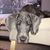 Lorena Garnsey's profile image