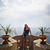 Laura Garcia's profile image