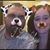 Morgyn N Mason Forster's profile image