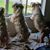 Concetta Marks's profile image