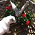 Betsy Boyle's profile image