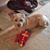 Debbie Harrington's profile image