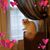 Ria Sanacore's profile image