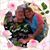 Tammy LeDent's profile image
