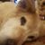 Andrew Karp's profile image