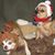 Patricia Overbye's profile image