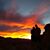 Lisa Boyd Brown's profile image