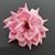 Cherish Gillett's profile image