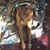 Delinda Allmond's profile image