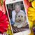 Phyllis Marietta's profile image