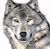 Ray Schijvijnck's profile image