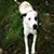 Leslie Scott's profile image