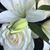 Michelle Anderson's profile image