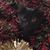 Dodie Dunnack Auglis's profile image