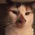Desiree Kelsch's profile image
