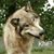 Uzziel Isai Reyes Granados's profile image