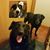 Rhonda Williams's profile image