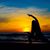 Lucinda Shore's profile image